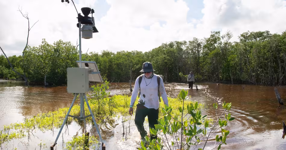 Station météo dans la réserve de biosphère de Ría Lagartos, au Mexique