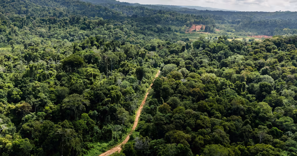 Vue aérienne de la piste d'atterrissage Paul Isnard près du camp "Montagne d'Or", premier projet d'exploitation aurifère industriel de la société internationale Nordgold (Guyane française)