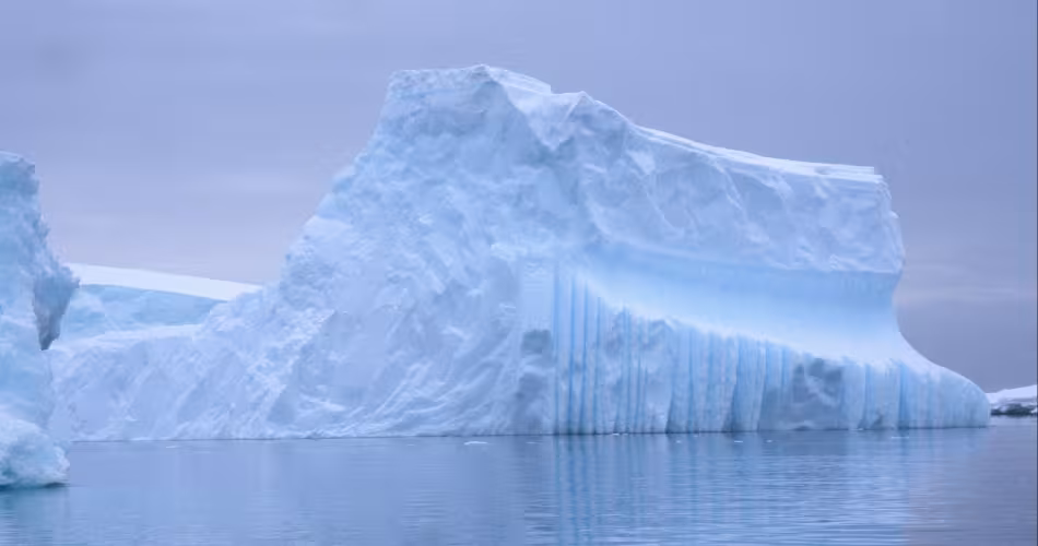 Iceberg en Antarctique 