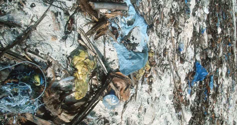 Déchets sur l'île Zanzibar (Tanzanie)