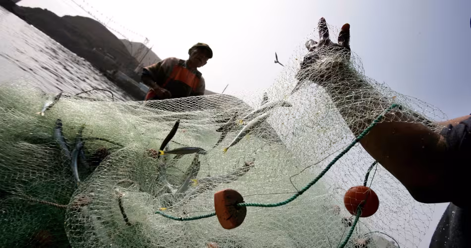 Pêcheurs qui ont remonté leur filet près de Lima au Pérou