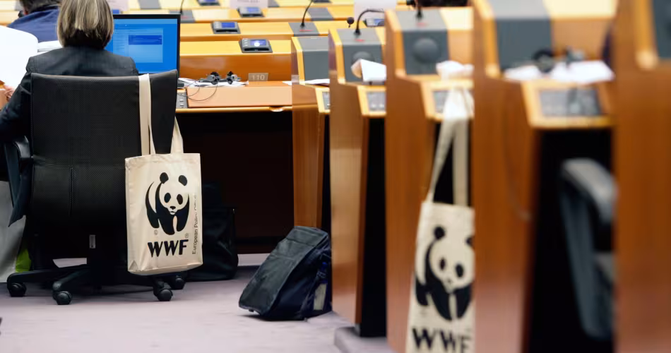 Le WWF participe aux conférences au Parlement Européen