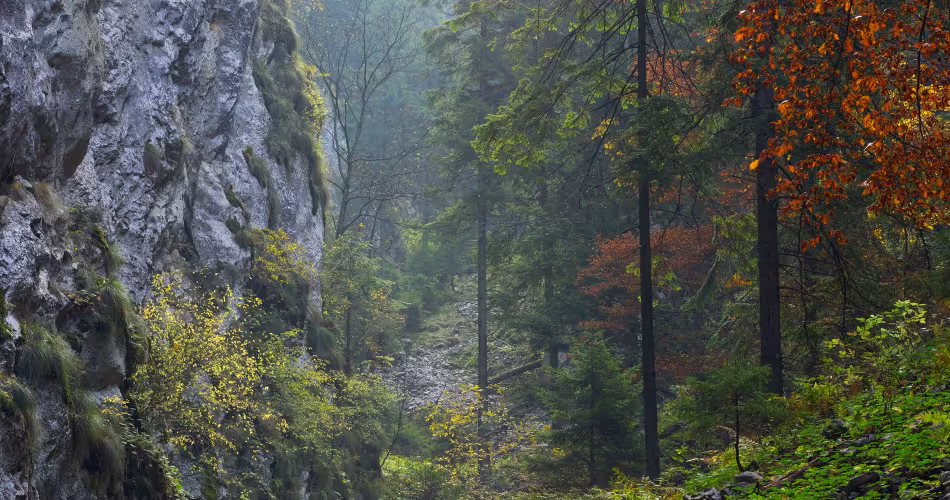 Parc national de Piatra Craiului, Sud des Carpates (Roumanie)