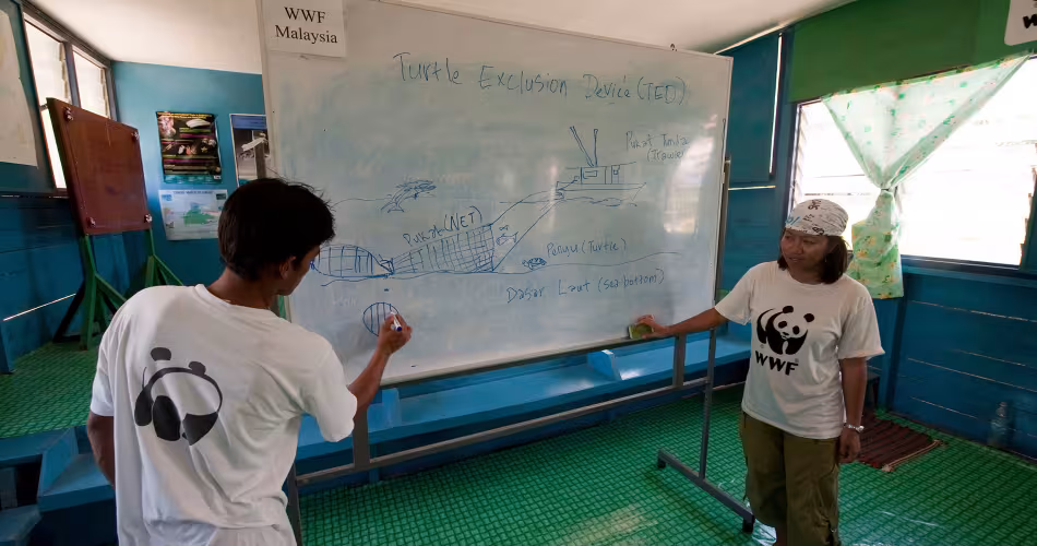 Employés du WWF Malaisie présentant le système TED à des volontaires locaux