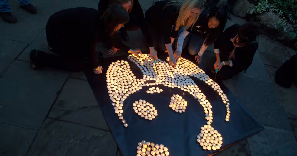 Earth Hour Toronto 2011