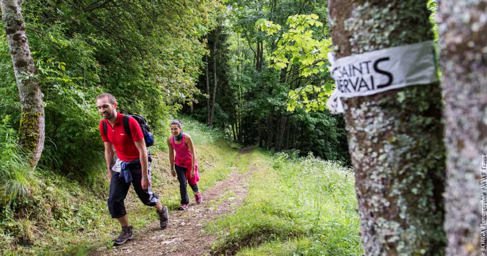 Participants au Pandathlon dans le massif du Mont Blanc (France)