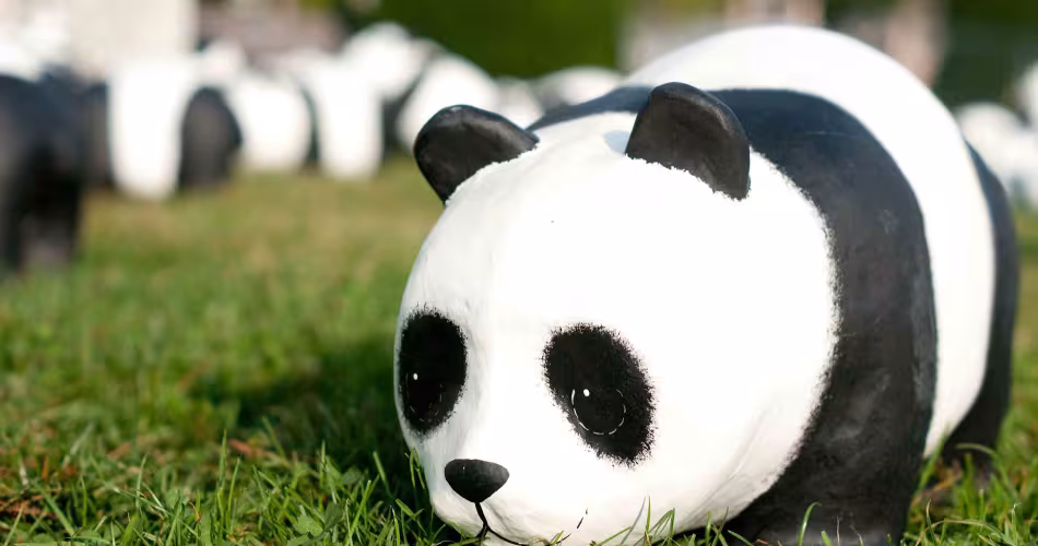Panda en papier mâché