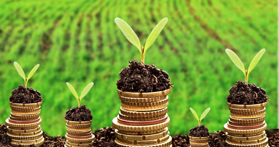 Finance verte