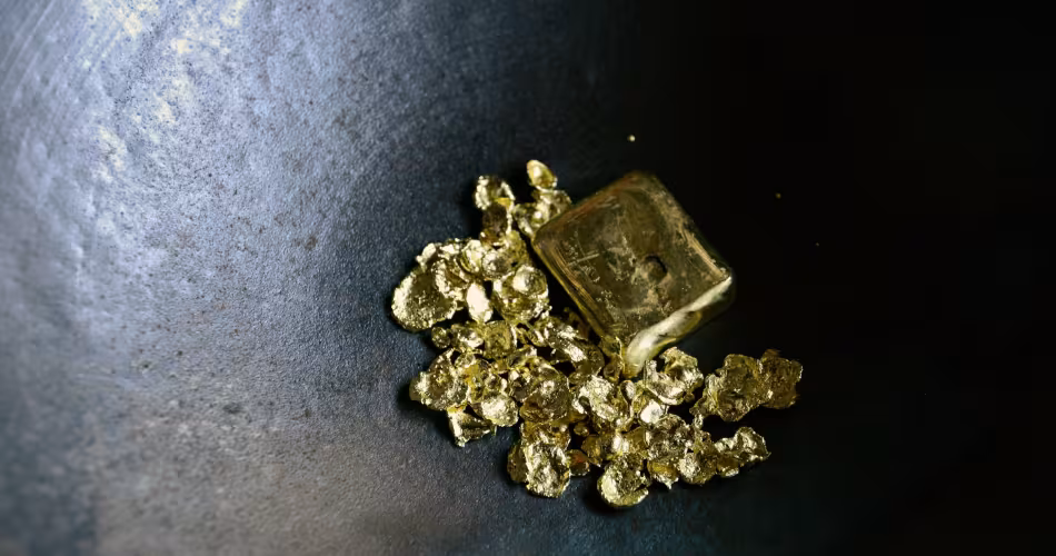 Pépites d'or extraites d'une mine dans l'état du Para (Brésil)