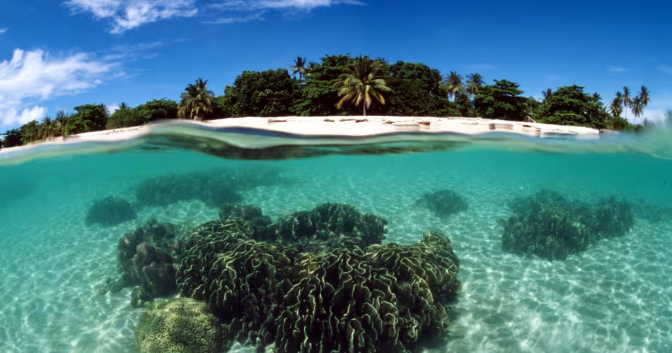 Récif corallien, Îles de la tortue (Philippines)