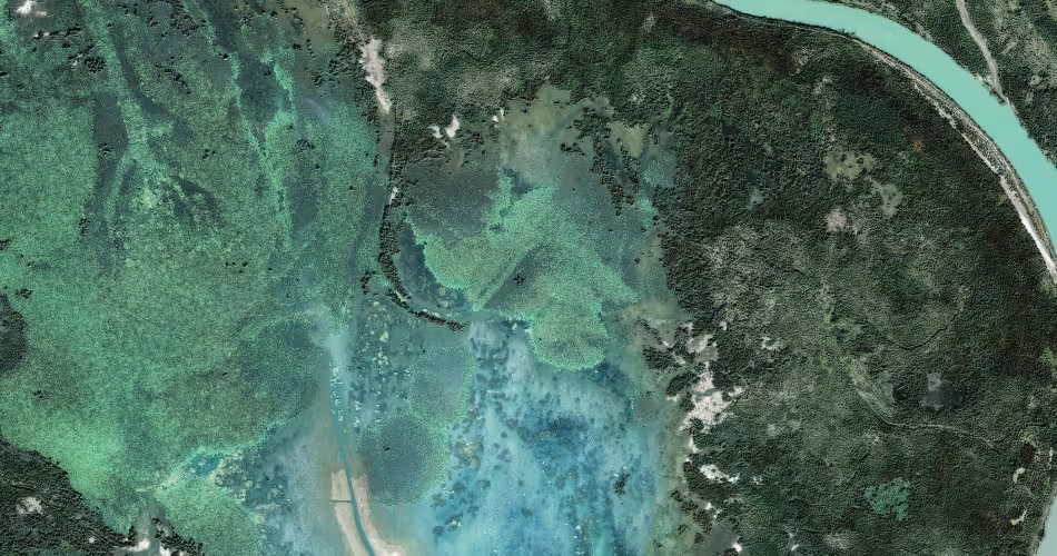 Le delta du fleuve Indus correspond à l’ensemble de la zone où le fleuve s'écoule dans la mer d'Arabie, créant un système complexe de marécages, de ruisseaux et de forêts de mangroves.