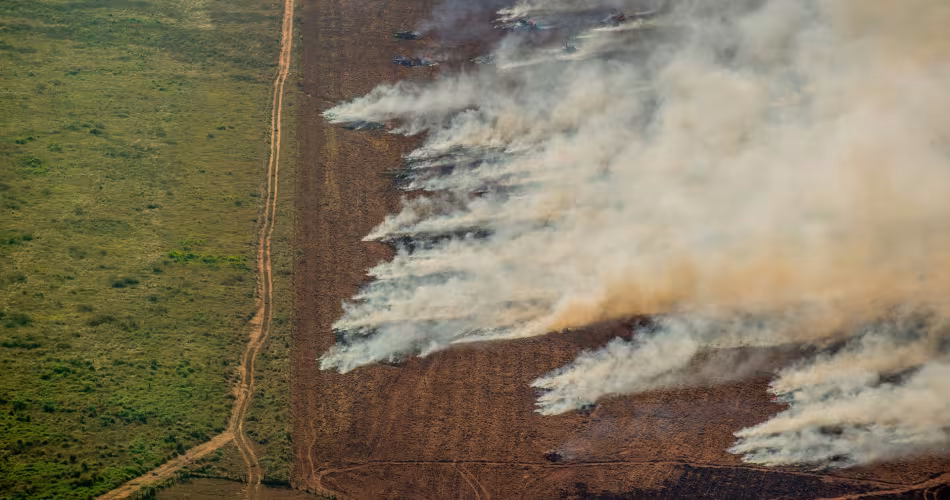 Feux près d'une zone déforestée vers Prodes (Projet de surveillance satellite de la forêt Amazonienne au Brésil de Greenpeace), à Nova Maringá, état du Mato Grosso, Brésil.