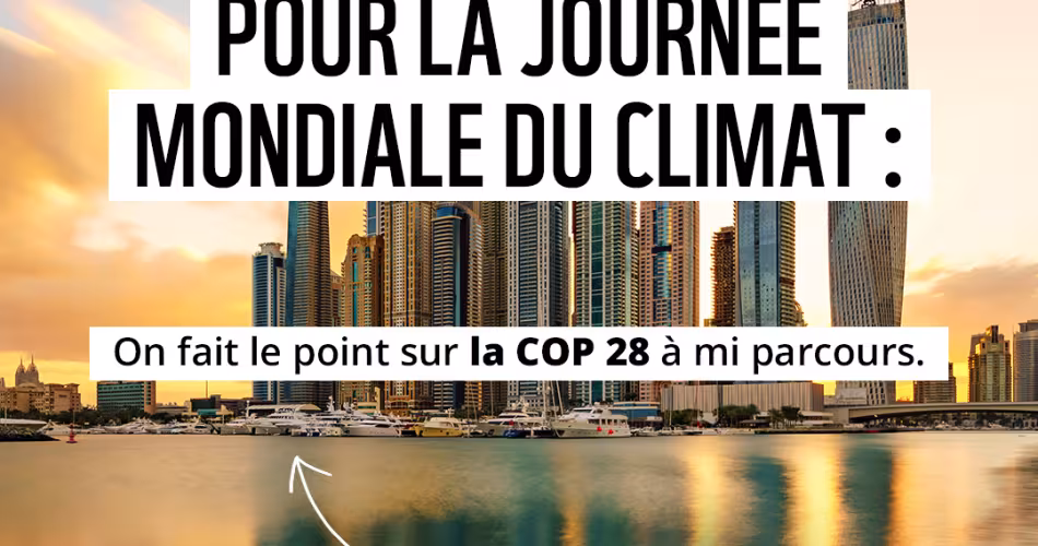 Carrousel COP 28 1