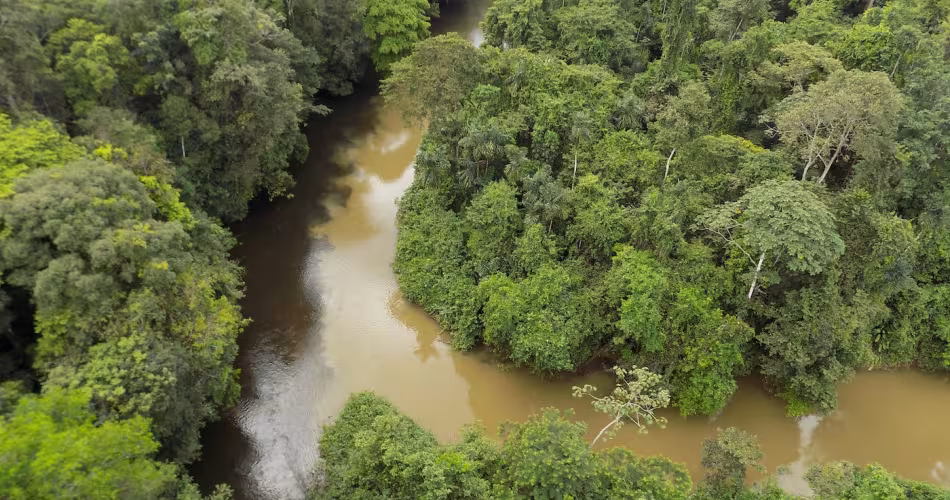 Vue aérienne d'une rivière en Guyane (Amazonie), habitat de la loutre géante
