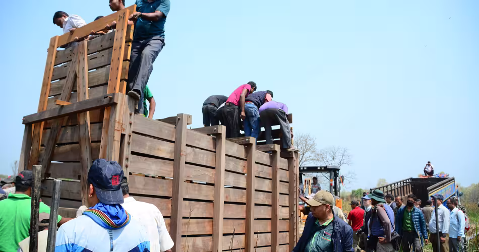 Enclos utilisé pour le transport des rhinocéros au Népal