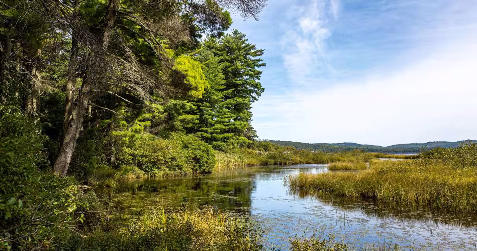 Northern Ontario