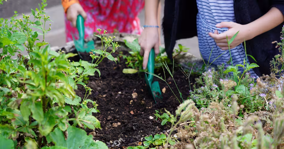 Enfants qui cultivent un potager