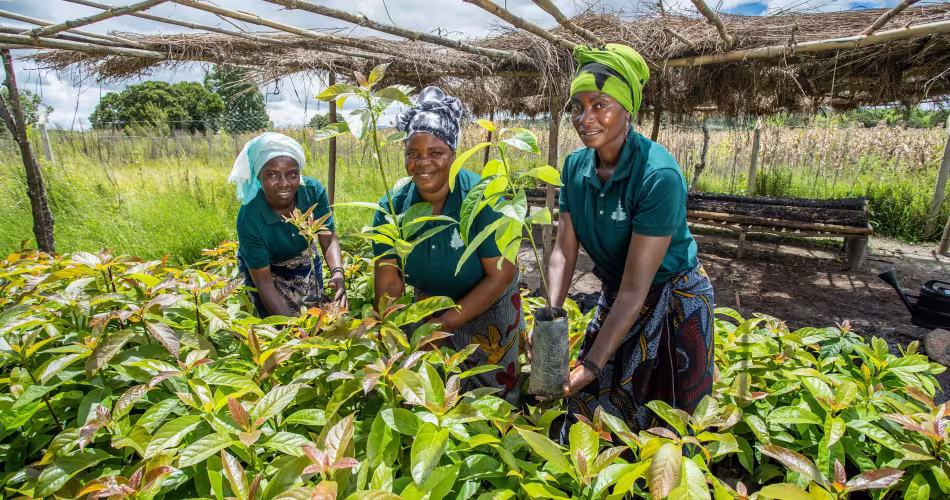 Femmes dans le cadre du programme WWF CARE Alliance