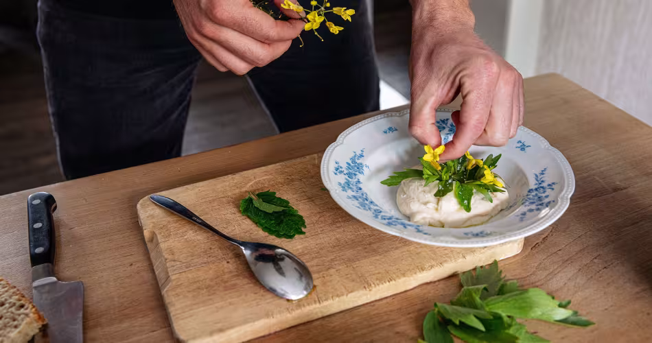 Du houmous de blanc de Flandre en tapas de Florent Ladeyn