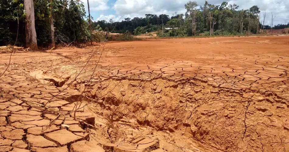 Terres asséchées en Guyane