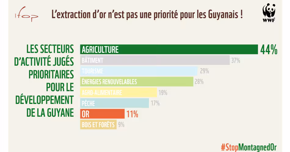Le total supérieur est à 100%. Les interviewés ont pu donner plusieurs réponses.