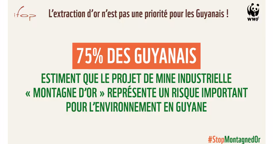 Infographie IFOP des Etats Généraux en Guyane