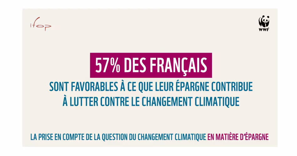 Infographie article 163
