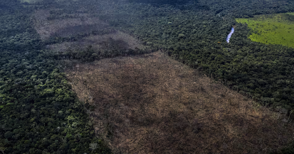 Les politiques existantes en faveur d'un soja sans déforestation restent insuffisantes.