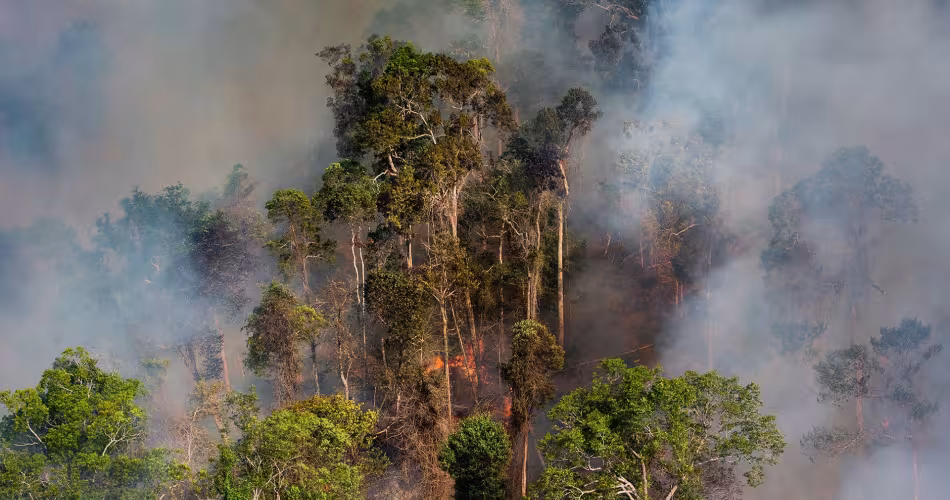 Incendie dans la forêt amazonienne entre les régions du Para et du Mato Grosso, Brésil