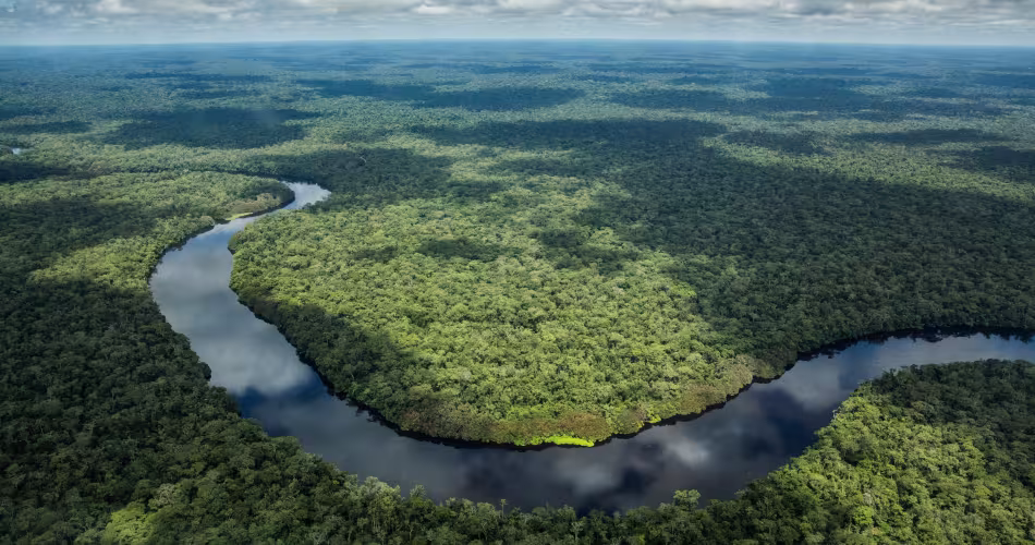 Le bassin du Congo abrite une multitude d'écosystèmes remplis de vie.