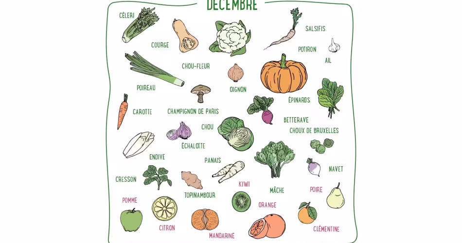 Salsifis, courge, betterave, mâche, orange, clémentine... Découvrez les fruits & légumes de saison du mois de décembre en France métropolitaine.