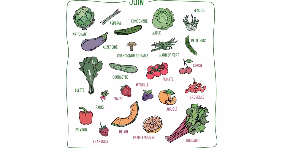 Haricots verts, blettes, tomates, aubergines, melons, cerises... Découvrez les fruits & légumes du mois de juin en France métropolitaine.