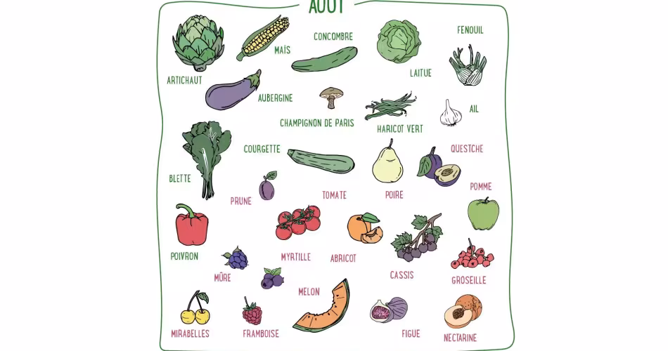 Laitue, concombre, courgette, quetsche, myrtille, mûre... Découvrez les fruits & légumes du mois de août en France métropolitaine.
