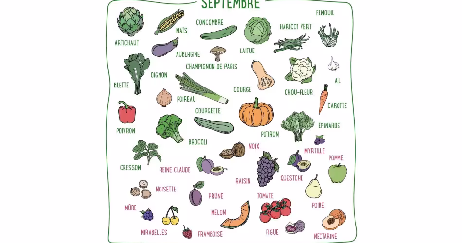 Courge, oignon, brocoli, noix, raisin, noisette... Découvrez les fruits & légumes du mois de septembre en France métropolitaine.