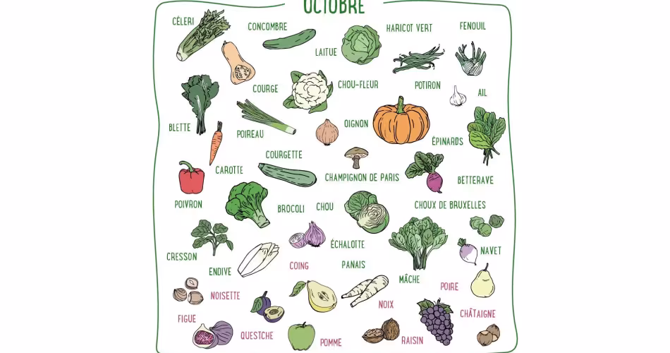 Chou, échalote, céleri, châtaigne, coing... Découvrez les fruits & légumes de saison du mois d'octobre en France métropolitaine.
