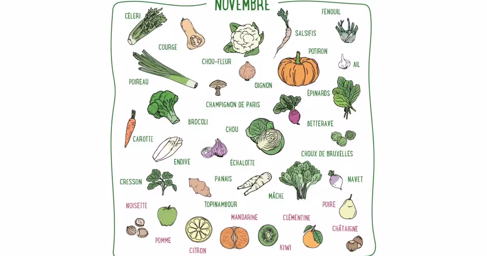 Fenouil, carotte, topinambour, citron, kiwi... Découvrez les fruits & légumes de saison du mois de novembre en France métropolitaine.