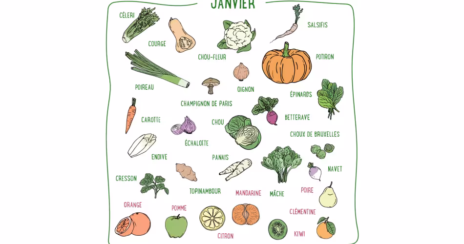 Céleri, citron, chou-fleur, mâche, mandarine, clémentine, poire, orange... Découvrez les fruits et légumes de saison du mois de janvier en France métropolitaine.