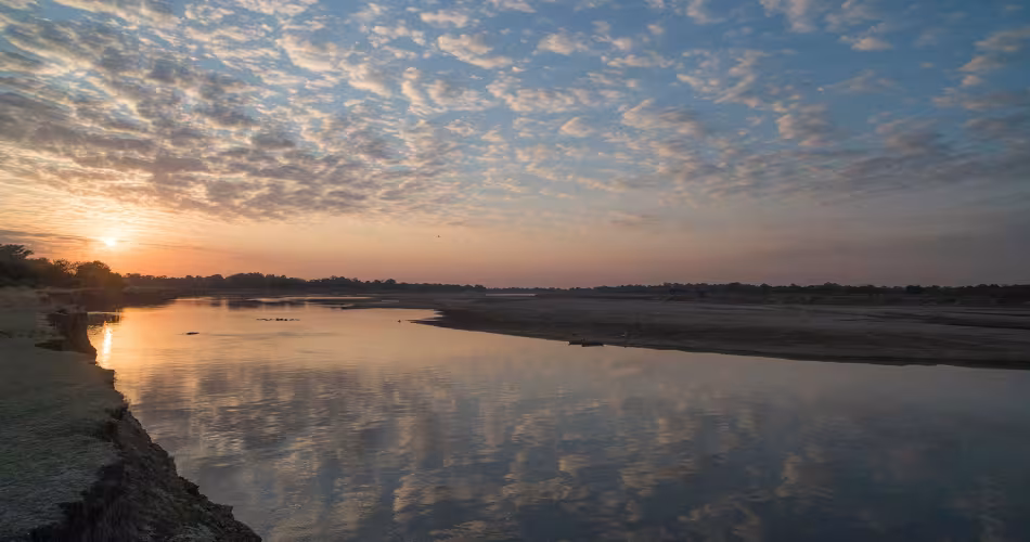 La rivière Luangwa située en Zambie, longue de 1100 km, abrite une faune diversifiée.