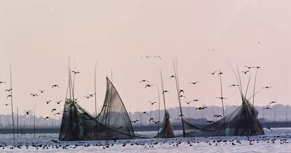Vue sur des filets pièges, une pratique de pêche illégale.