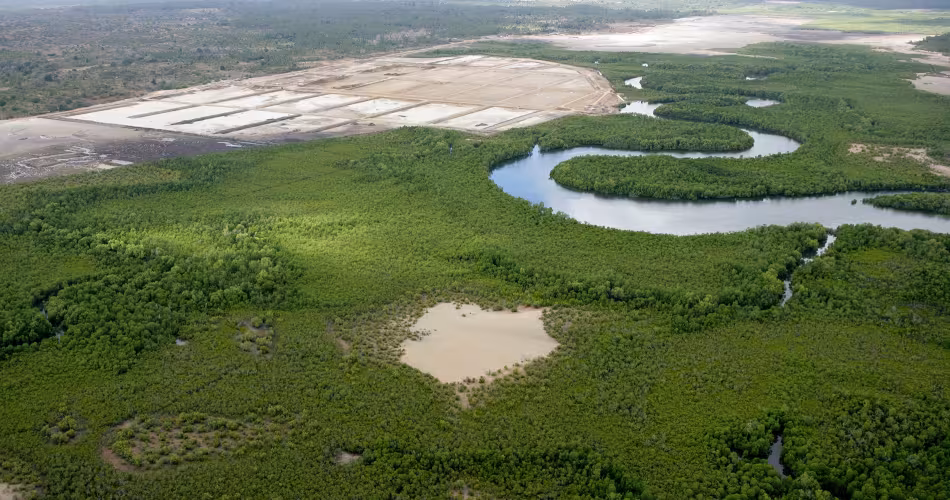 Construction d'un élevage de crevettes menaçant une forêt de mangroves, île Mafia (Tanzanie)