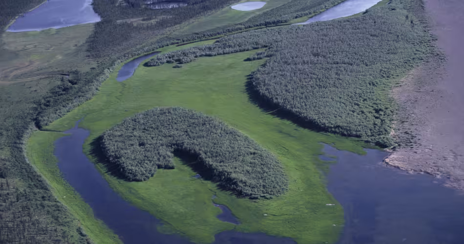 Sous sa végétation, la région de Yakoutie regorge de richesses cachées que les braconniers veulent se procurer.