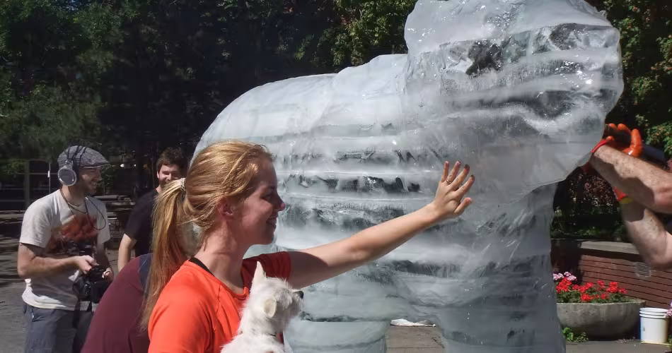 Sculpture de glace d'un ours polaire exposé à l'occasion des sommets du G8 et G20 de Toronto en 2010 (Canada)