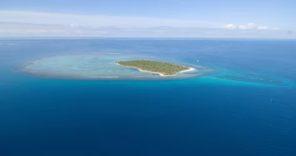 Les récifs coralliens couvrent 0,1% de la surface des océans mais abritent un tiers des espèces marines connues.