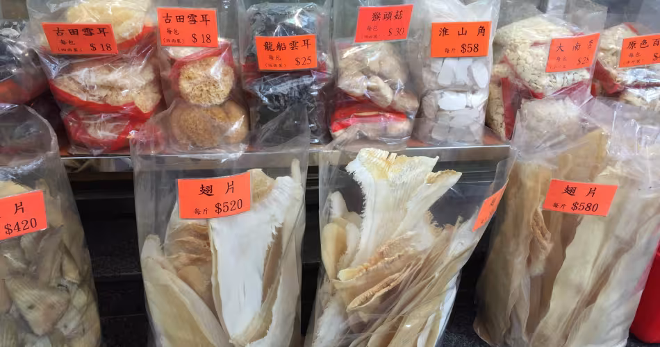 La vente d'ailerons de requins utilisés pour la médecine traditionnelle chinoise contribue au commerce illégal des requins.