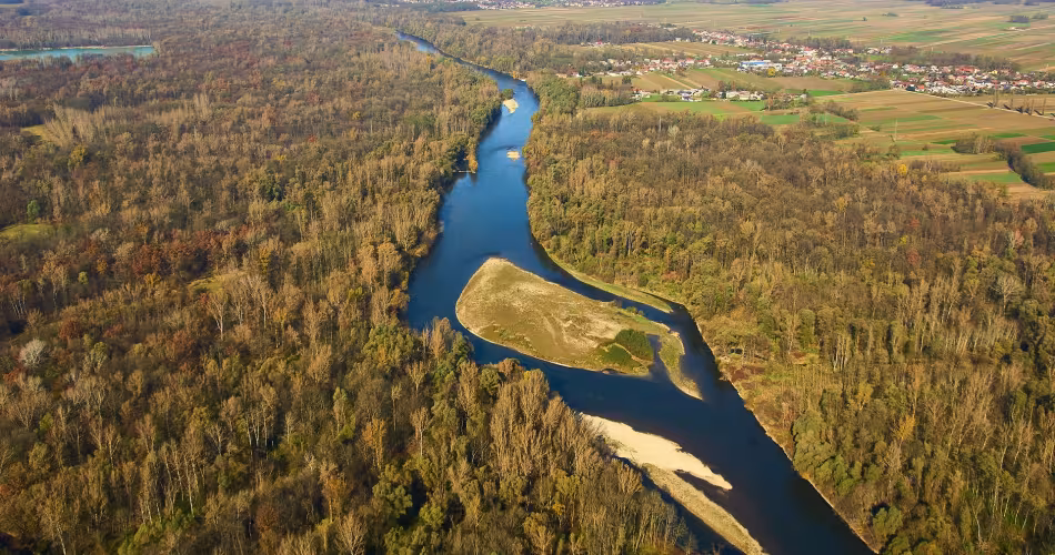 La Mur abrite une biodiversité aquatique incroyable, la plus riche de Slovénie !