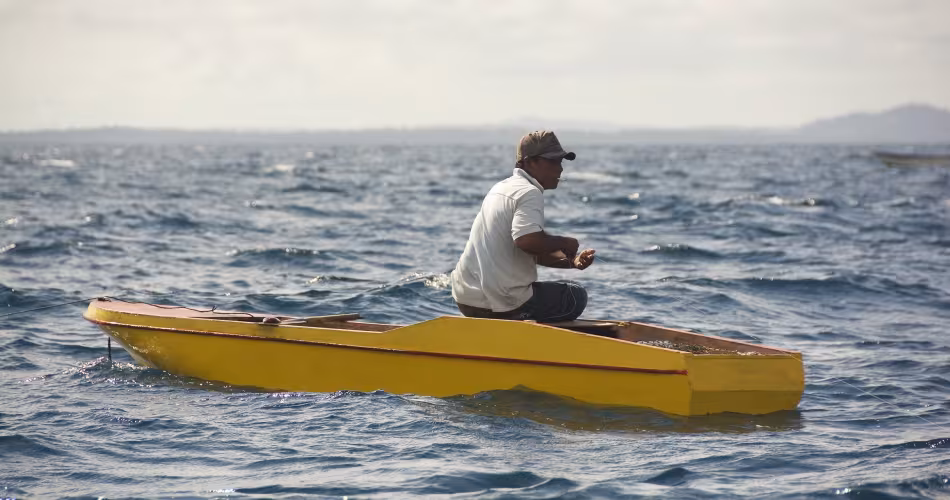 La méthode de pêche aux poulpes la plus commune est à la ligne.