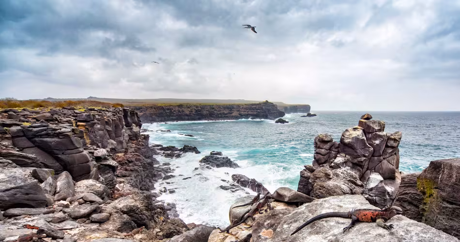 îles Galapagos