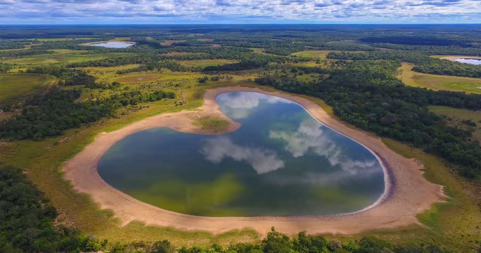 Au cours des cinq dernières années, la biodiversité est devenue un sujet d'intérêt majeur pour le grand public.