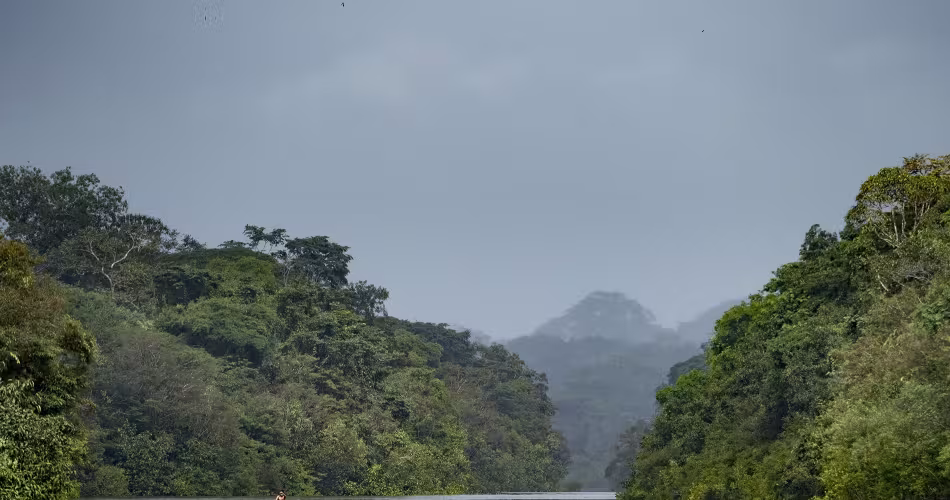 Amazone, Colombie