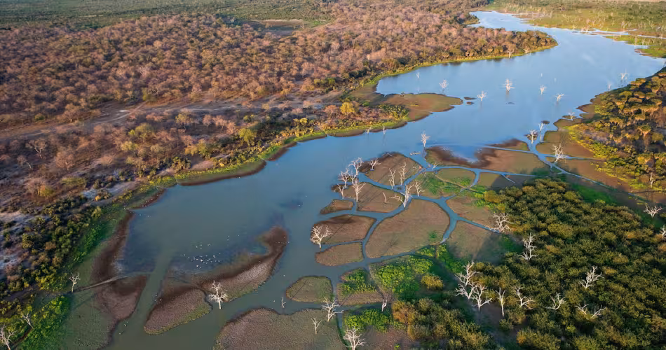 Vue aérienne de la réserve de gibier de Selous (Tanzanie)
